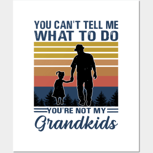 you can't tell me what to do you're not my grandkids Posters and Art